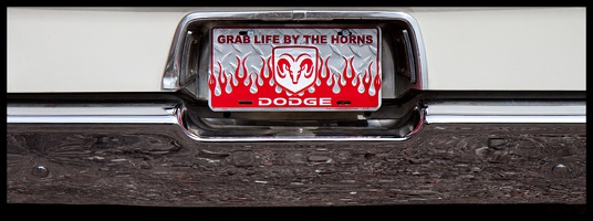 Grab life by the Horns