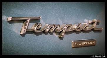 Tempest Custom