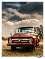 Ford F100 - Out in the Fields