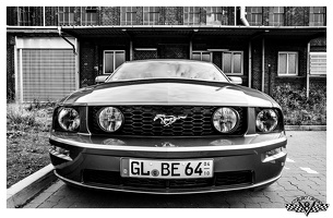 Mustang Frontal
