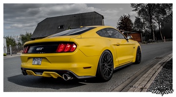 Yellow GT - I