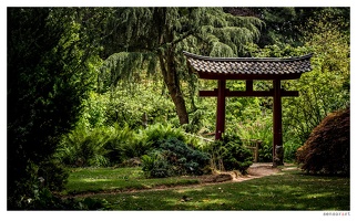 Japanese Garden - 7