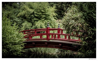 Japanese Garden - 8