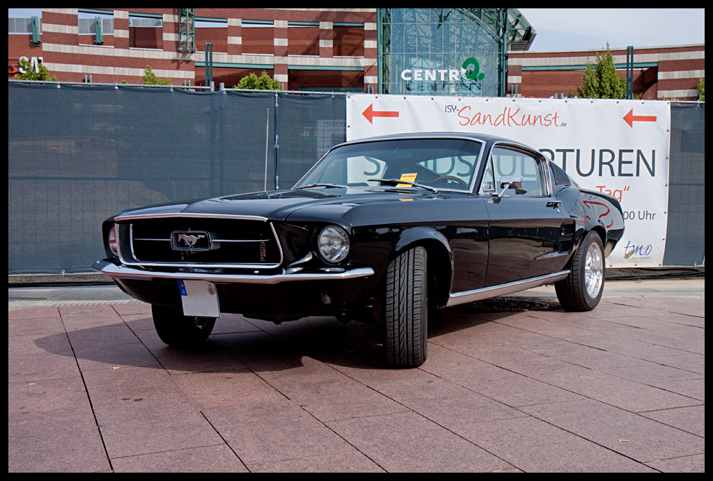 Mustang in black - Front