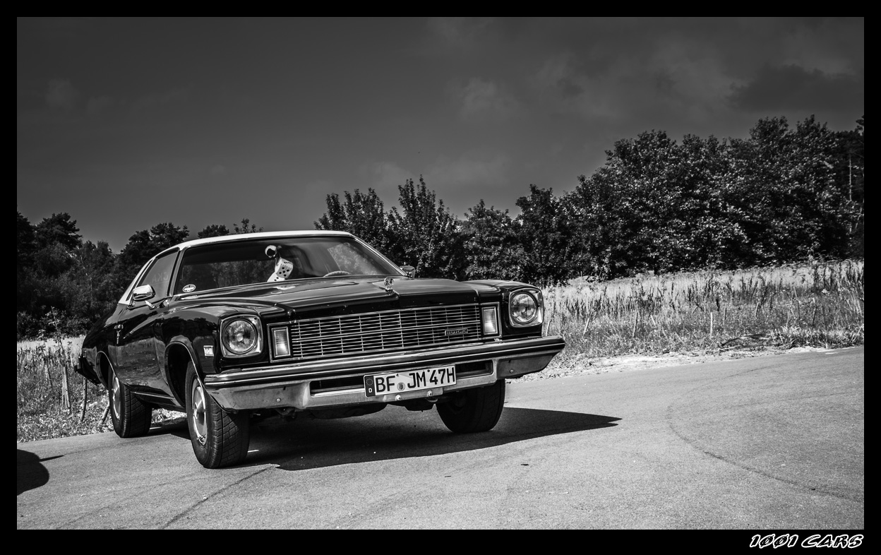 1975 Buick Century