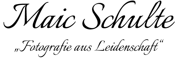 Maic Schulte